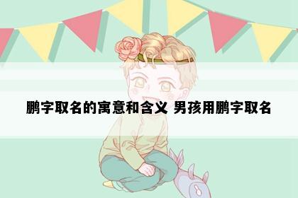 鹏字取名的寓意和含义 男孩用鹏字取名