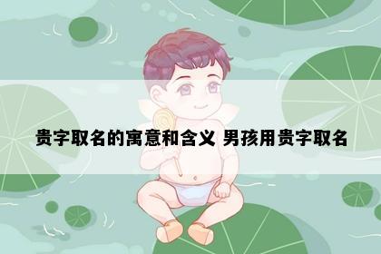 贵字取名的寓意和含义 男孩用贵字取名
